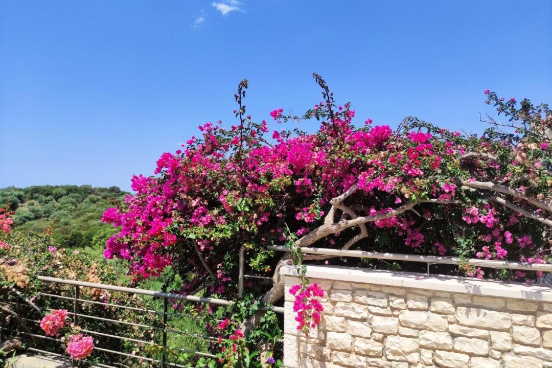Photo of Others in Sivota
