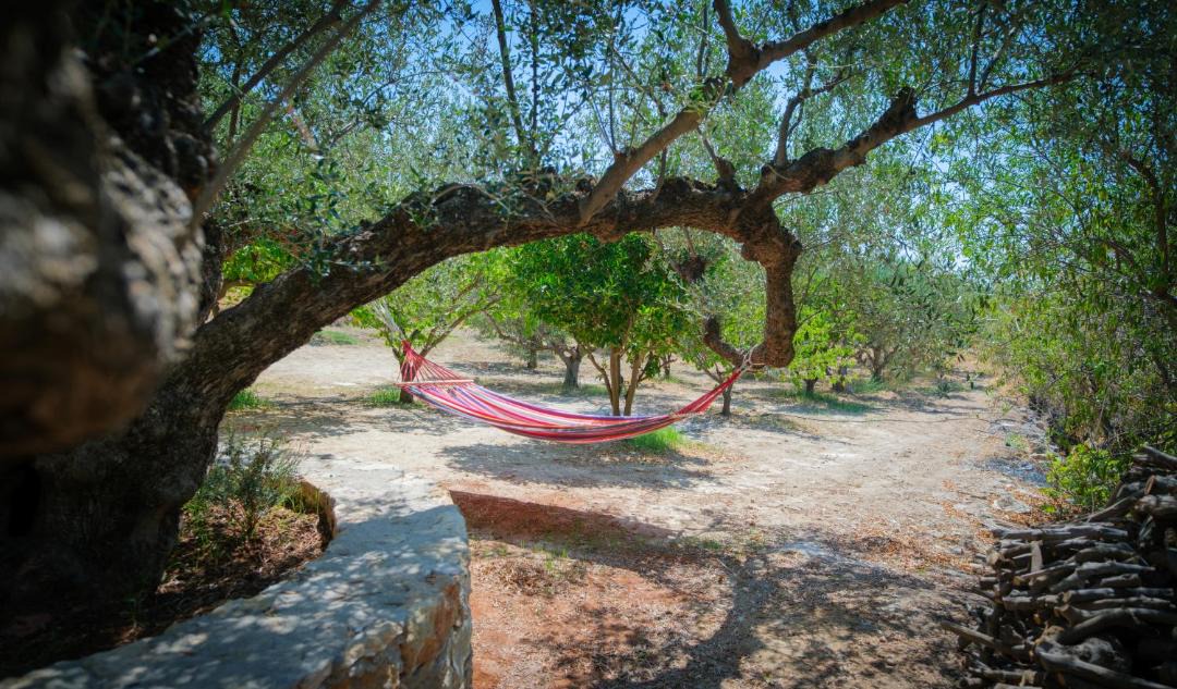Photo of Others in Kithira