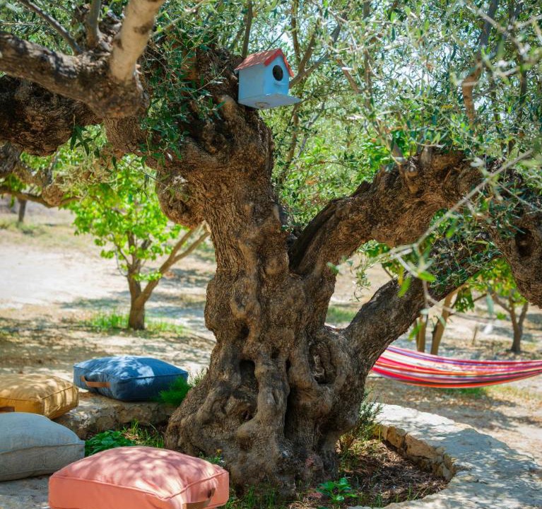 Photo of Others in Kithira