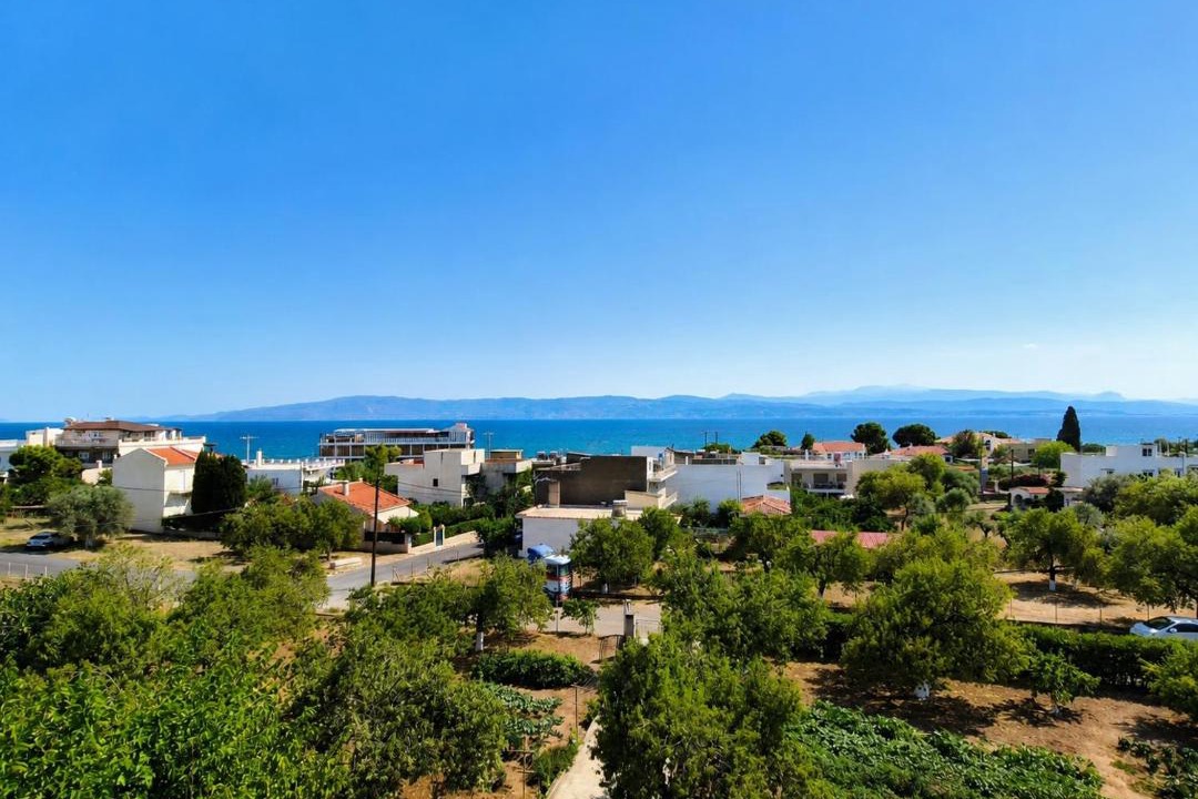 Photo of Others in Amarinthos