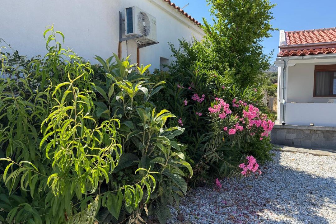 Photo of Others in Palaiopoli