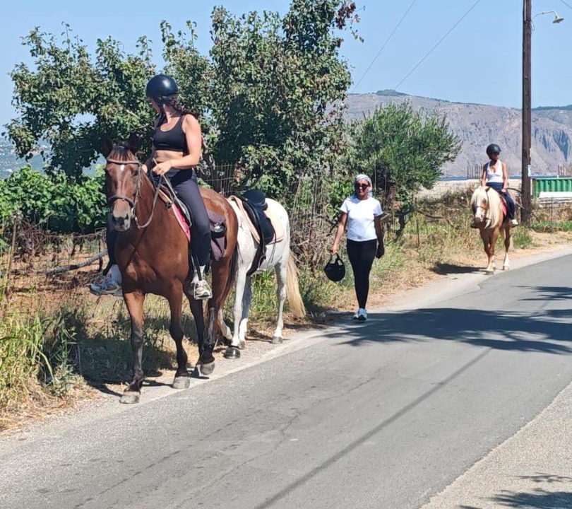 Photo of Others in Kournas