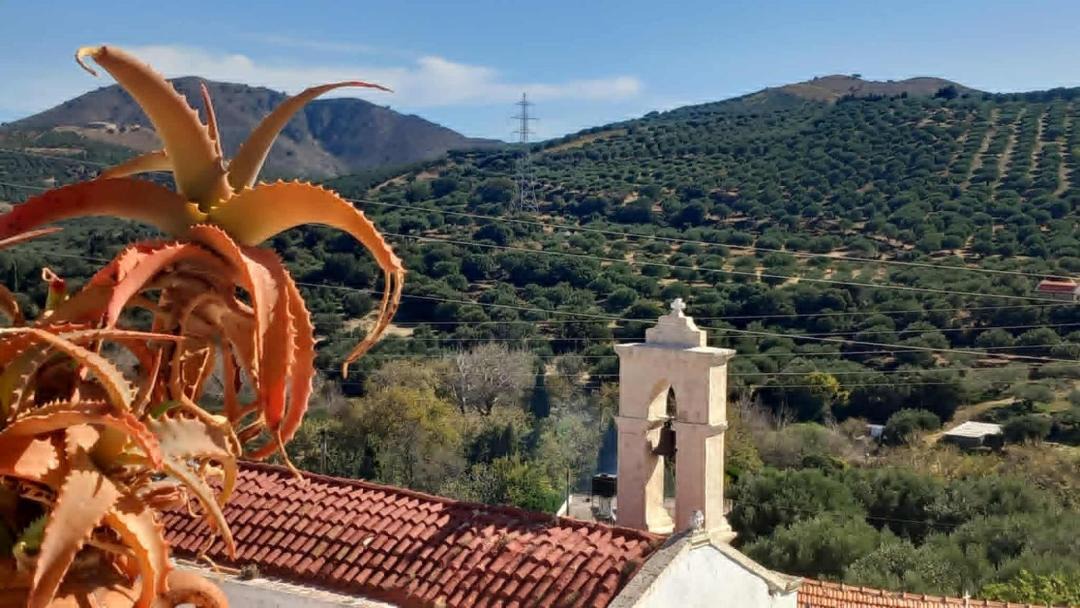 Photo of Others in Viannos