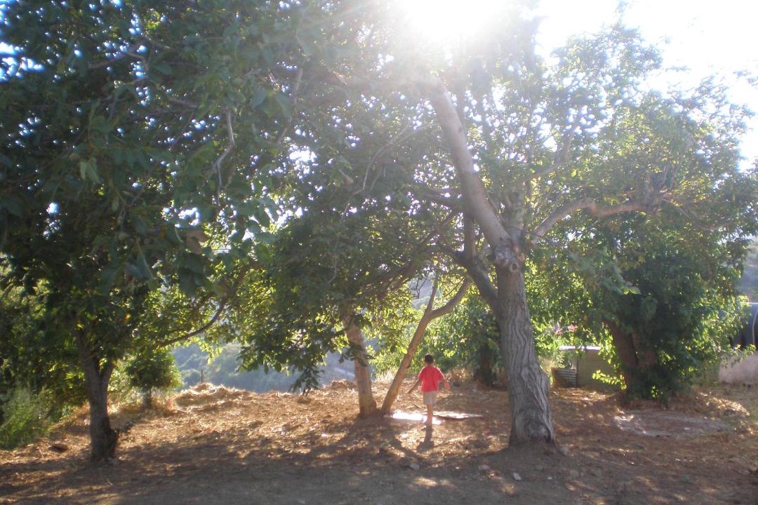 Photo of Others in Latziana
