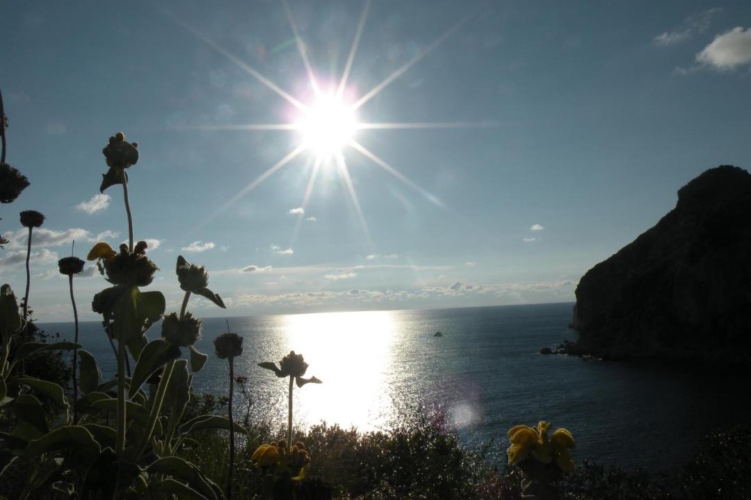 Photo of Others in Paleokastritsa