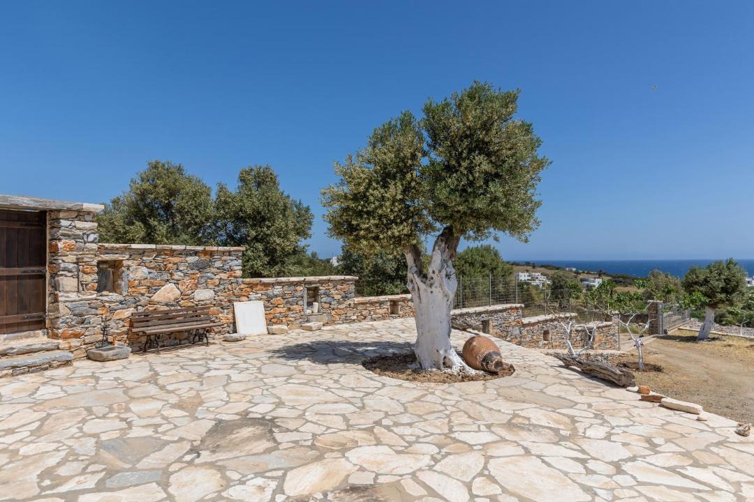 Photo of Others in Naxos