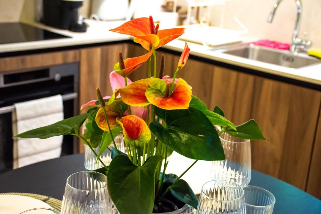 Photo of Kitchen in Palaio Psychiko