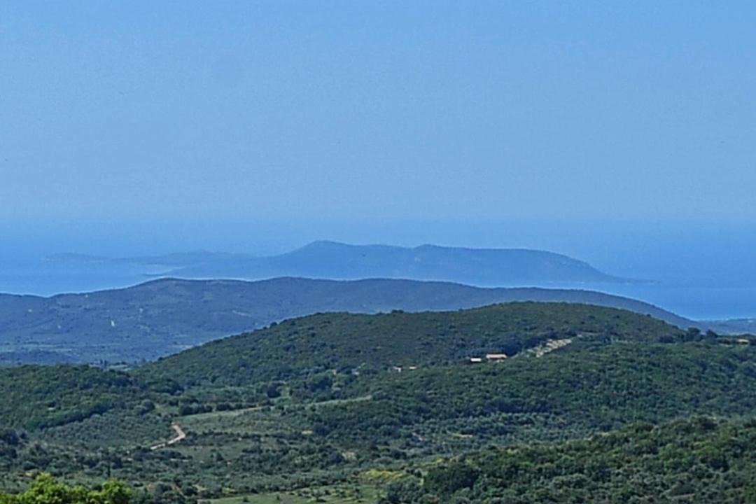 Photo of Others in Messini