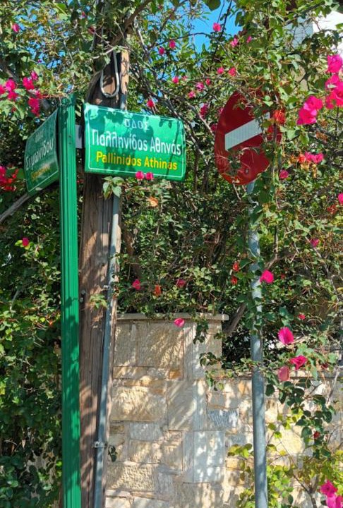 Photo of Others in Paiania