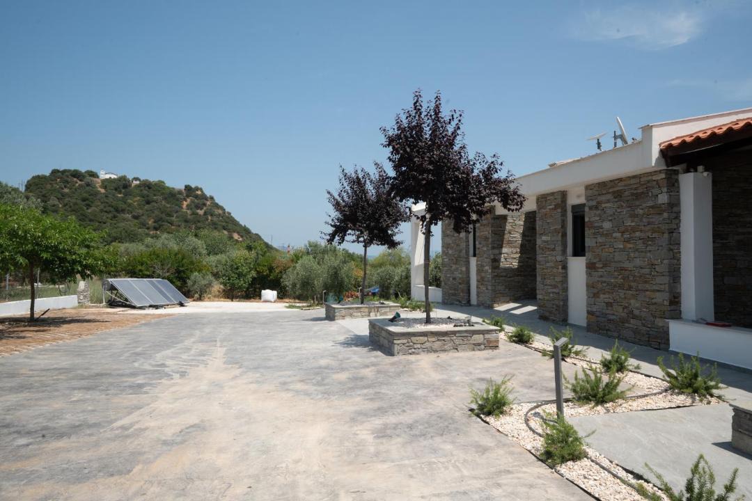 Photo of Others in Aristotelis