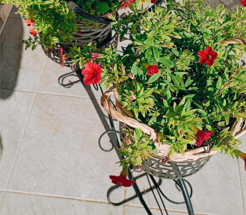 Photo of Others in Palekastro