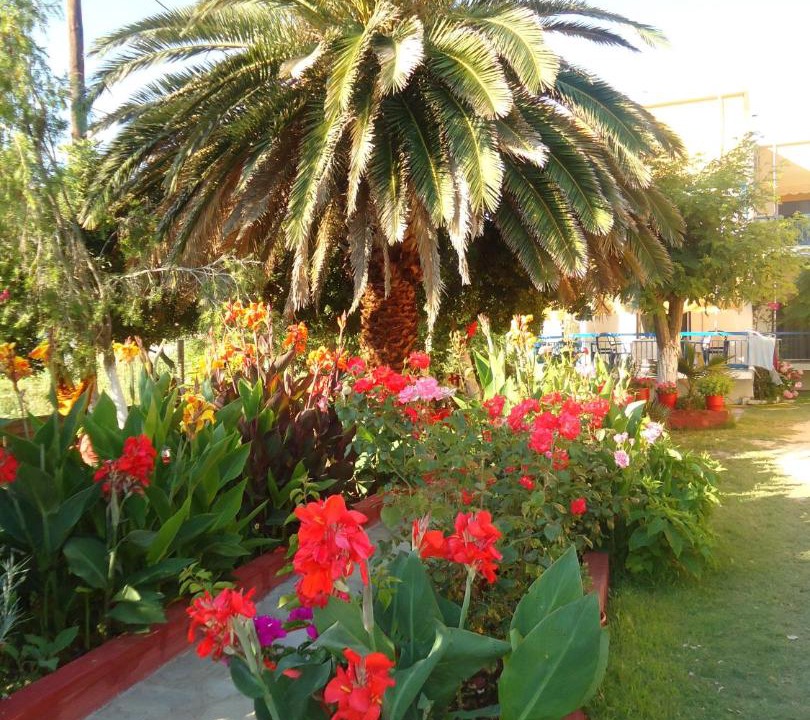 Photo of Others in Toroni