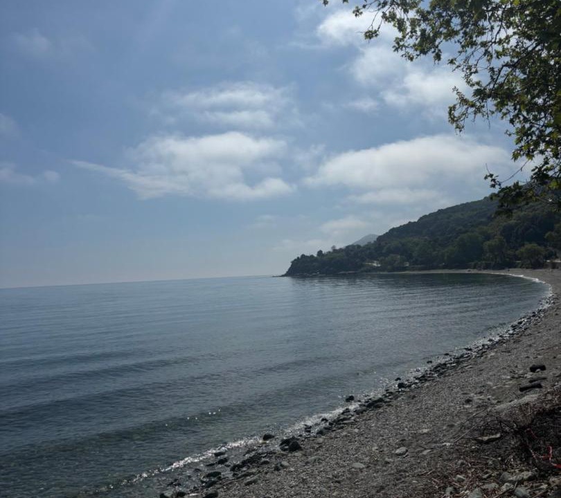 Photo of Others in Agia