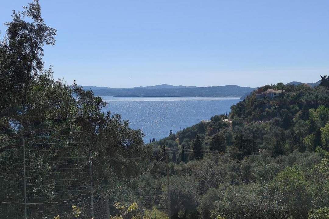 Photo of Others in Nisaki