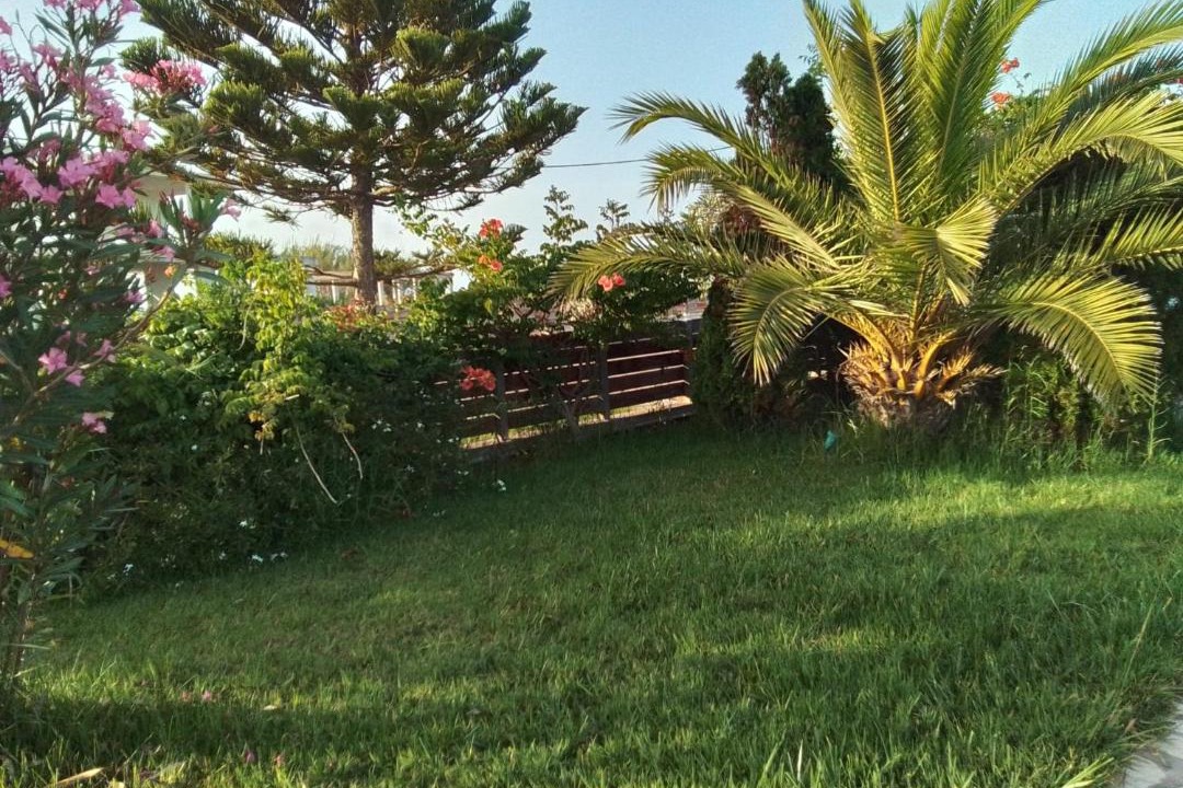 Photo of Others in Andravida-Kyllini