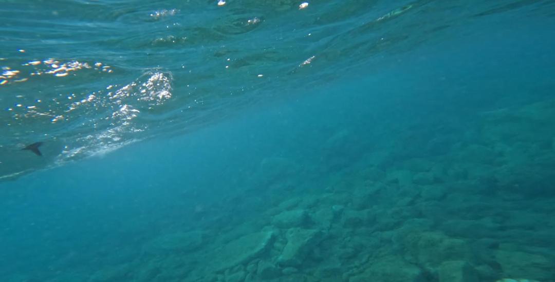 Photo of Others in Kato Sounion