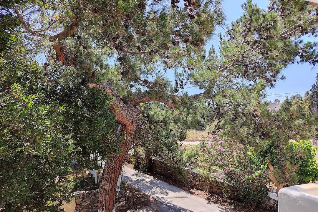 Photo of Others in Karystos