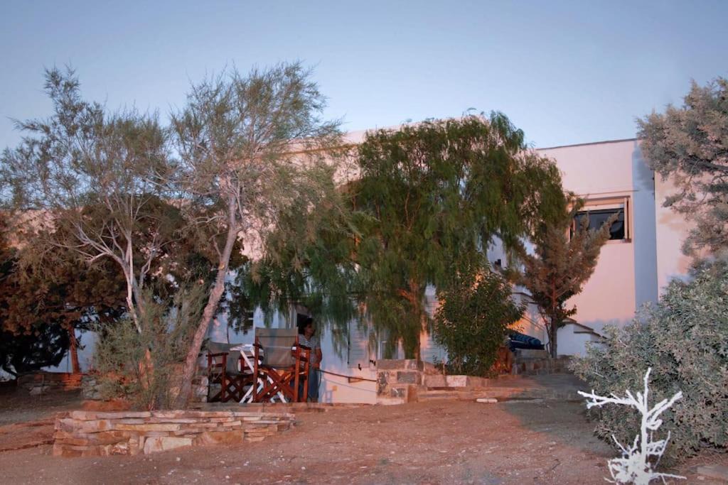 Photo of Others in Naxos