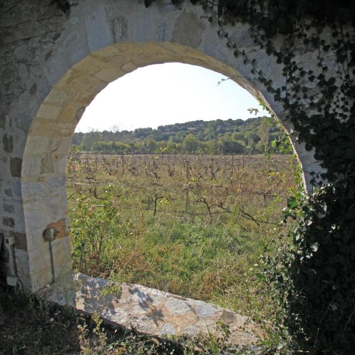 Photo of Others in Toxotes