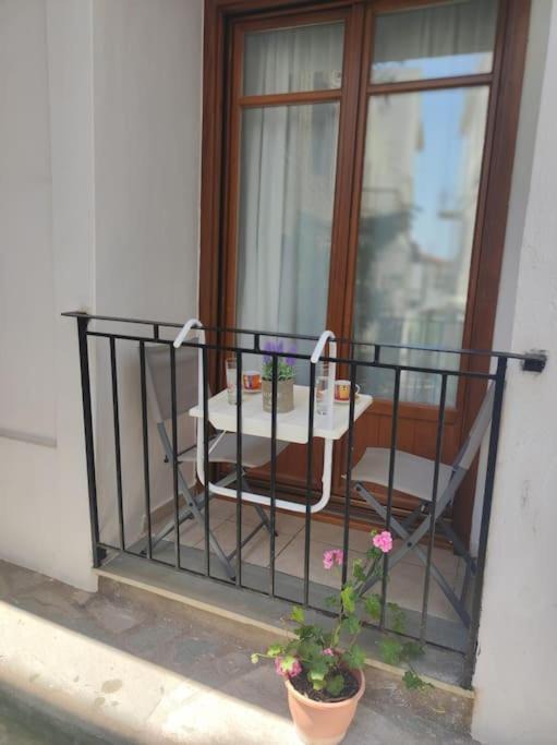 Photo of Others in Skopelos Town