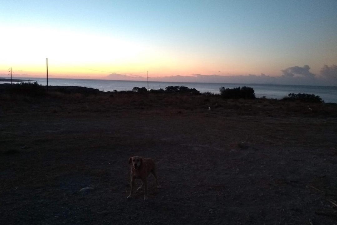 Photo of Others in Kithira