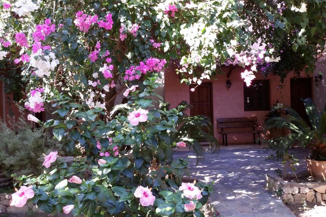 Photo of Others in Kantanos-Selino