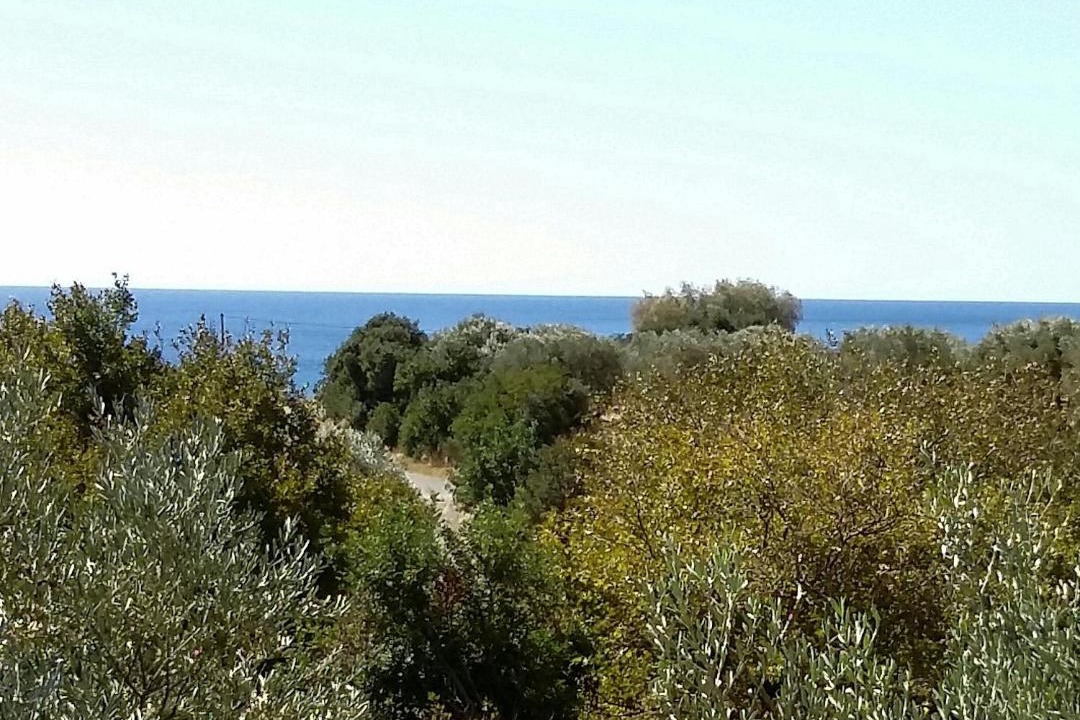 Photo of Others in Kantanos-Selino
