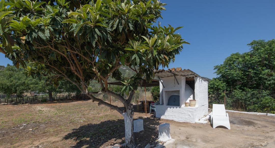 Photo of Others in Lefkakia