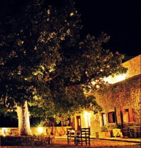 Photo of Others in Pyrgou Dirou