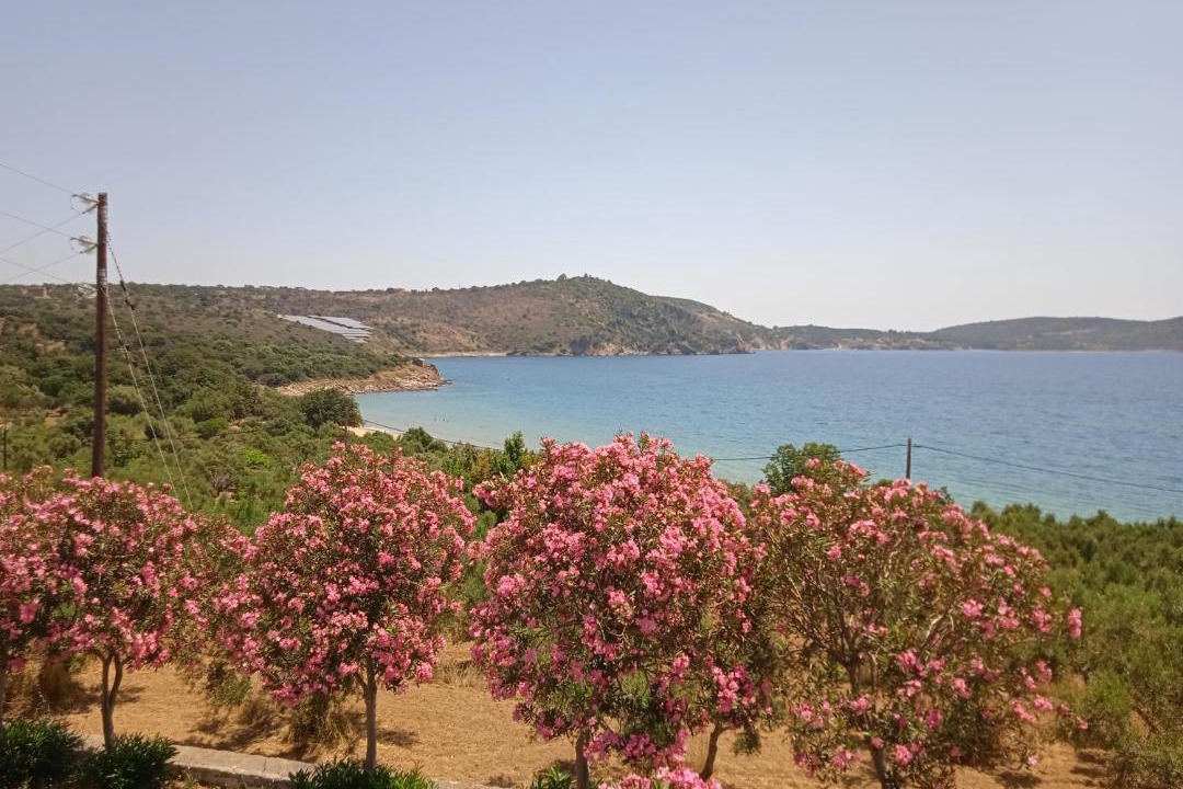 Photo of Others in Skoutari