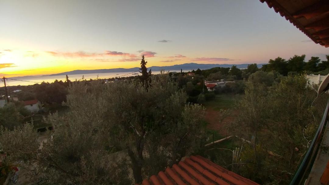 Photo of Others in Eretria