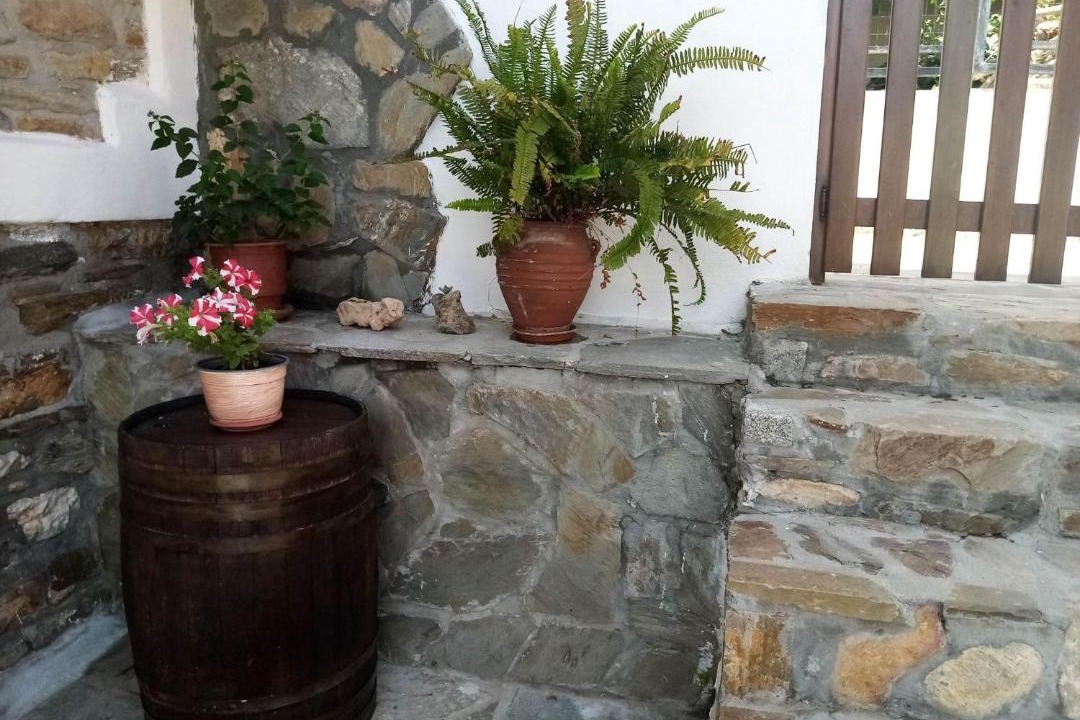 Photo of Others in Agios Nikolaos