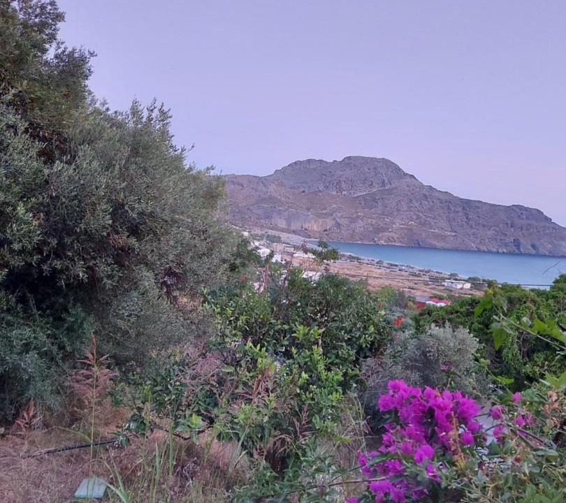 Photo of Others in Plakias