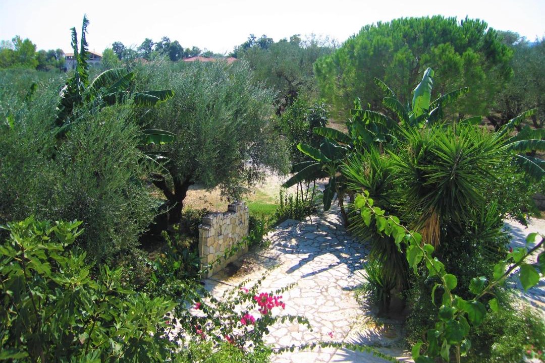 Photo of Others in Laganas