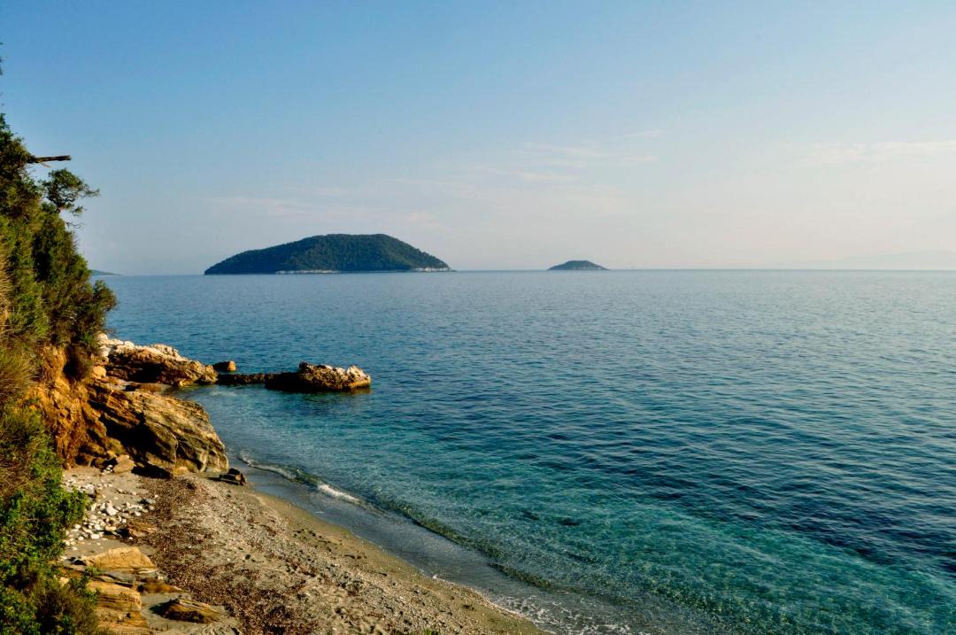 Photo of Others in Elios
