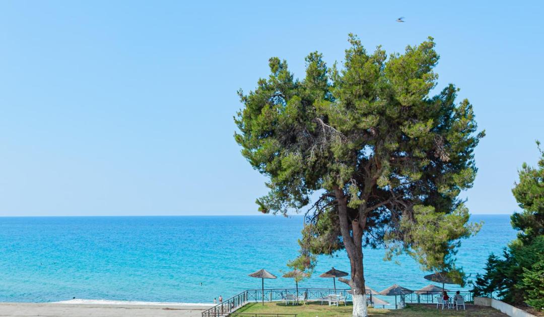 Photo of Others in Siviri