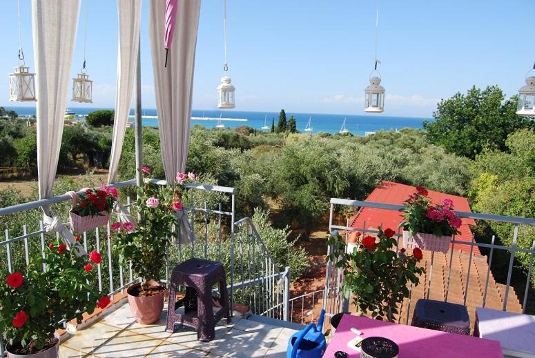 Photo of Others in Killini