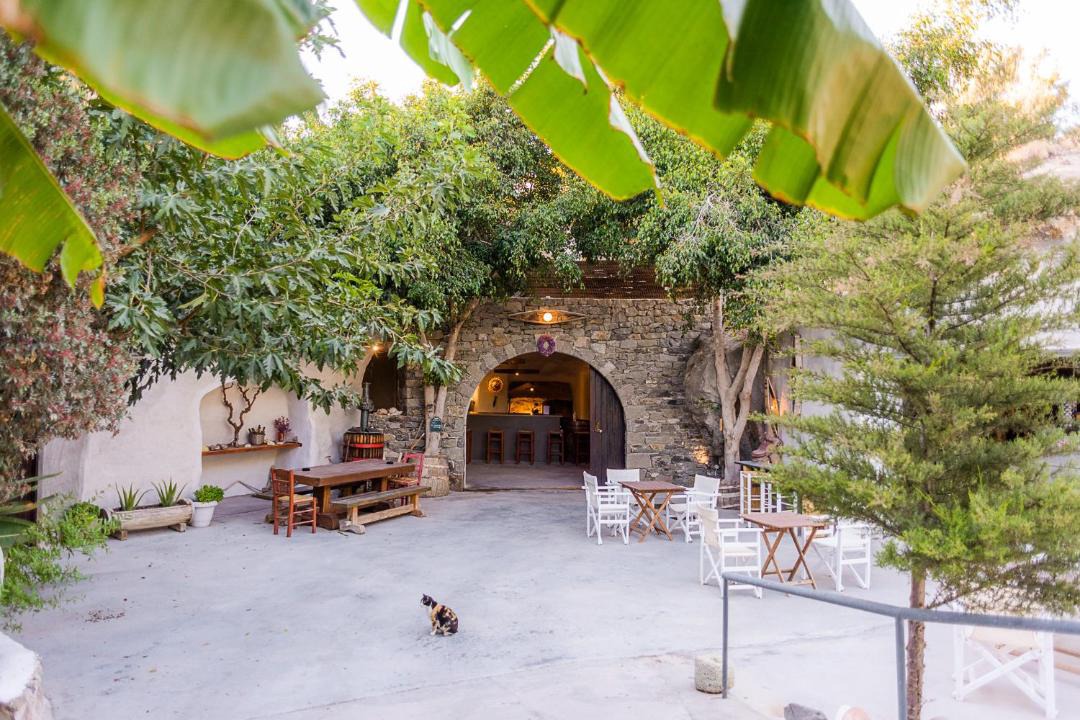 Photo of Others in Apollonia