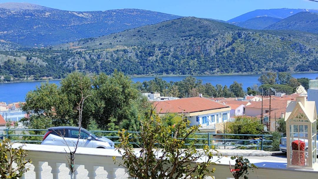 Photo of Others in Argostoli Town