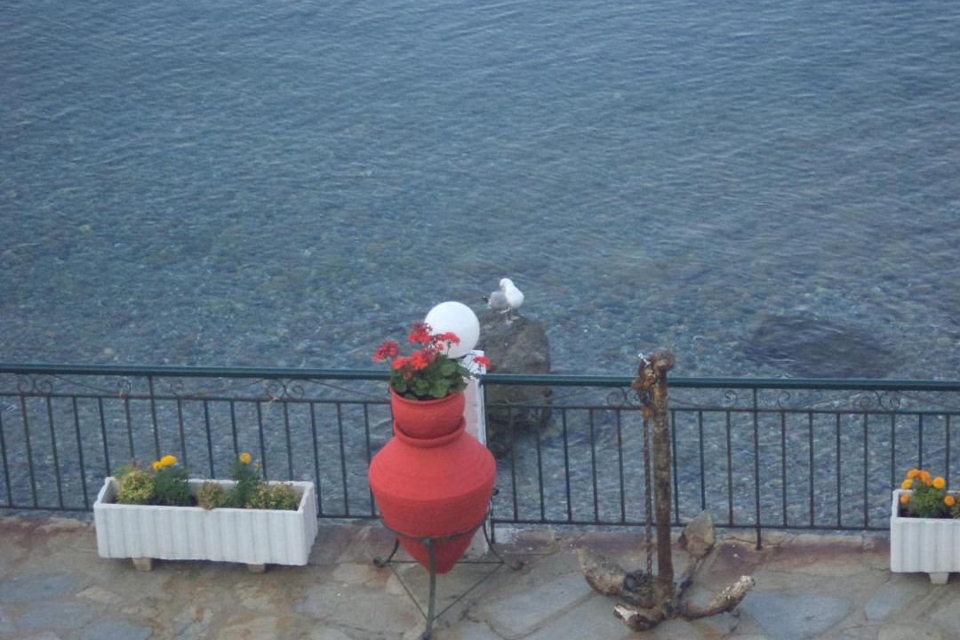 Photo of Others in Kassandra