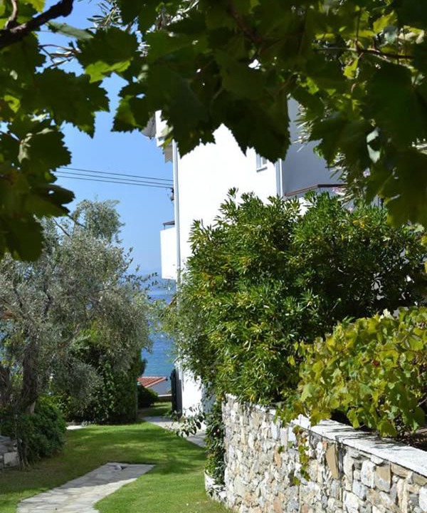 Photo of Others in Kolios