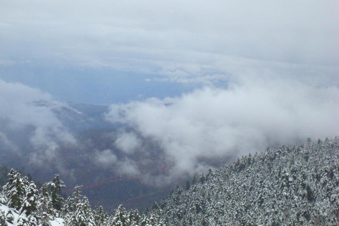 Photo of Others in Elatou