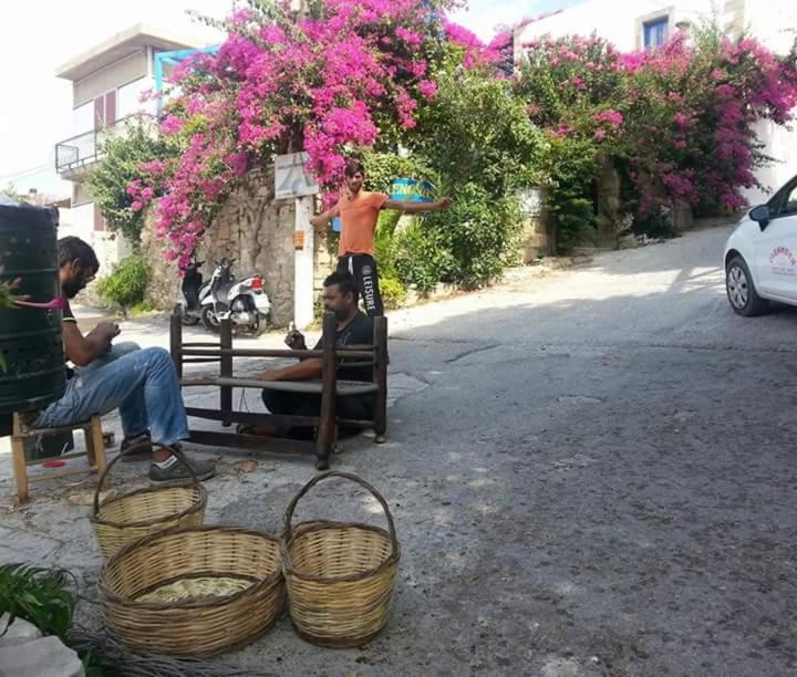 Photo of Others in Kamilari