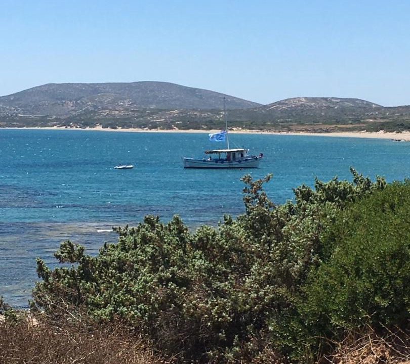 Photo of Others in South Rhodes