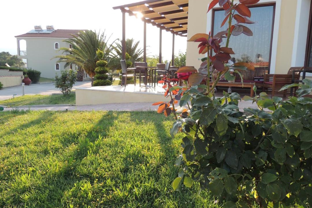 Photo of Others in Skala Kallonis