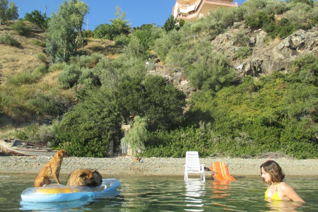 Photo of Others in Loutra Edipsou