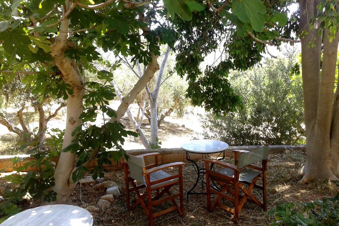 Photo of Others in Palekastro