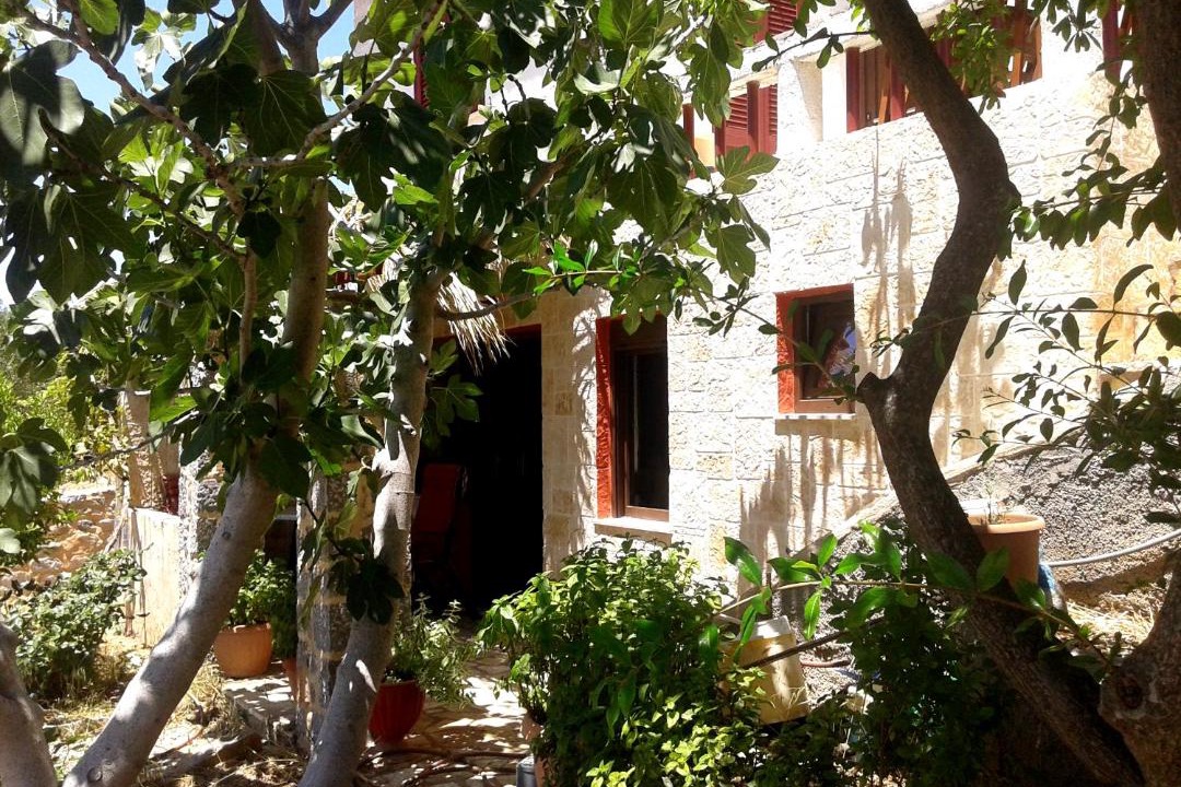 Photo of Others in Palekastro