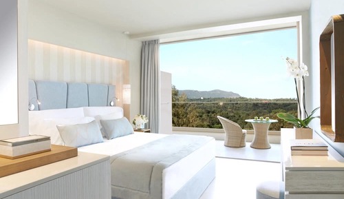 Superior Double Room (Inland View)
