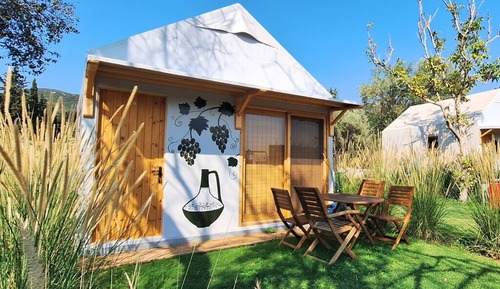Superior Bungalow, Garden View